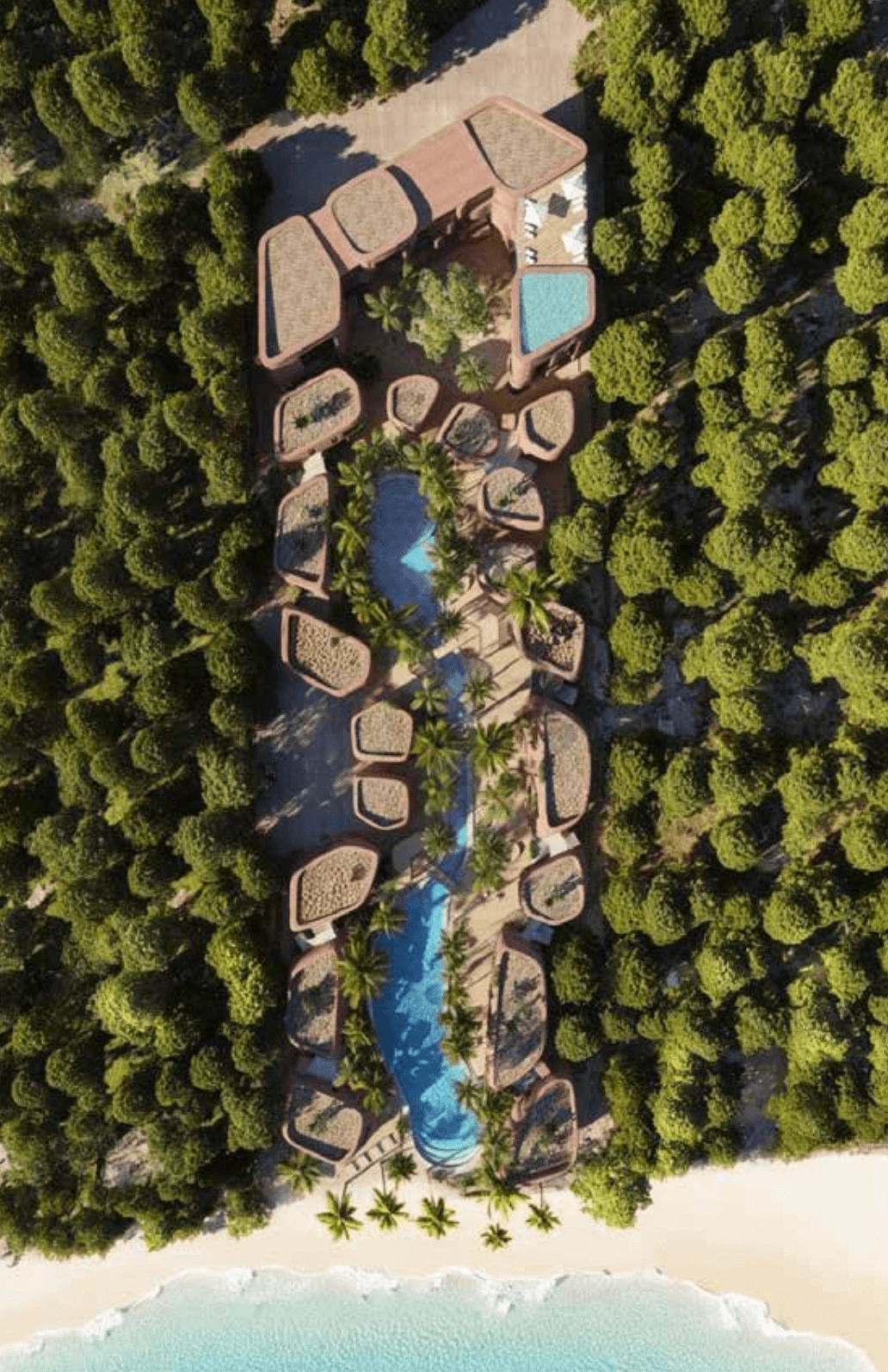 THE NEZT Interior Design